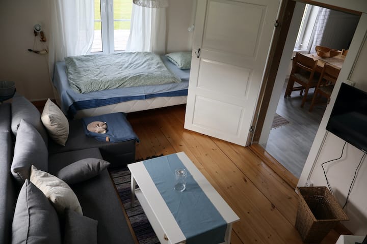 Living room and bedroom.
Single bed and sofa bed.