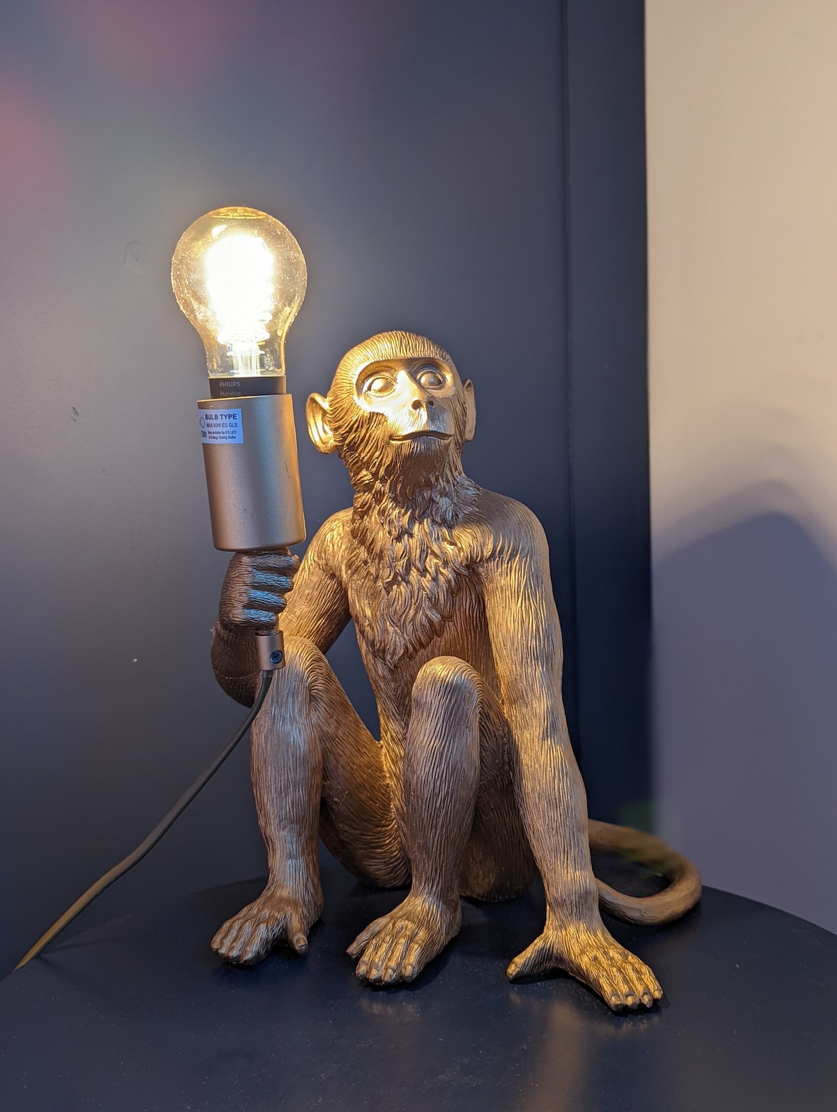 Не го хранете мајмунот ;)