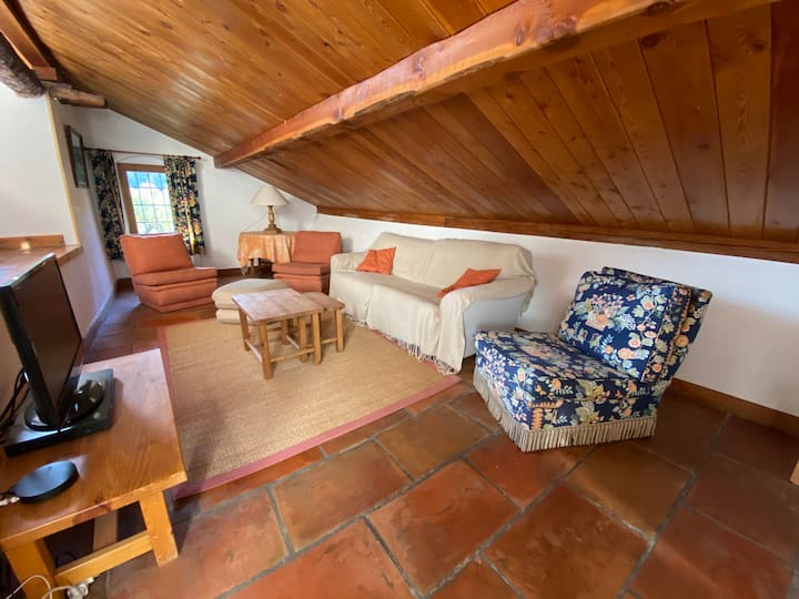 Chalet Familial Sur Les Pistes 12-14 Personnes - La Salle-les-Alpes