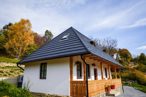 Casa Berg Pension Viseu de Sus