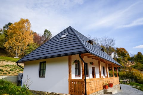 Casa Berg Pension Viseu de Sus