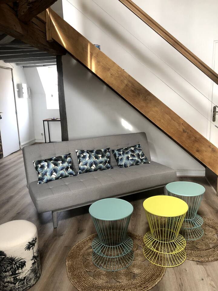 Superbe Duplex Situé Dans Une Demeure Du Moyen Age - Auxerre