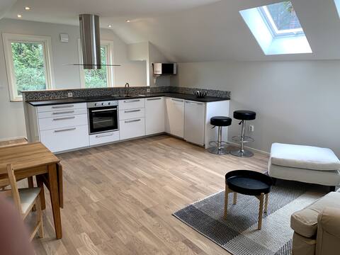 Beautiful apartment if 2 rooms and A kitchen in rural setting