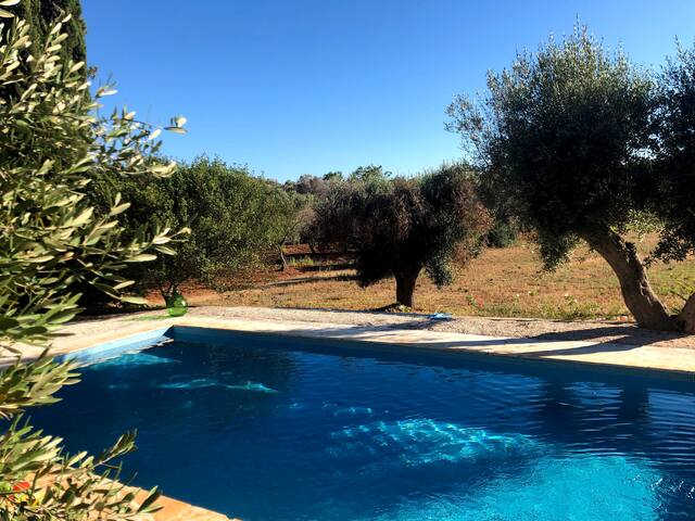 Old Trullo Casa Lucca gallery image 4