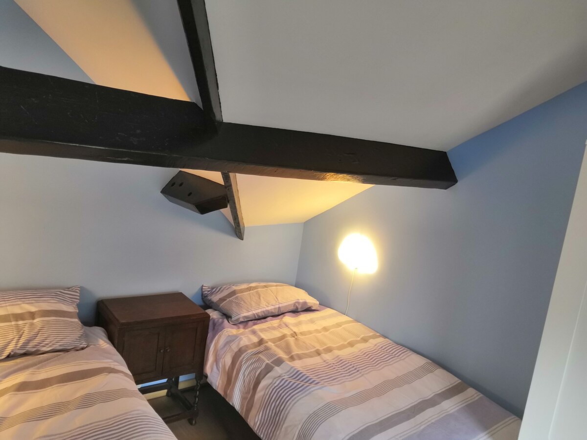 Таванска спална соба со двокреветни кревети