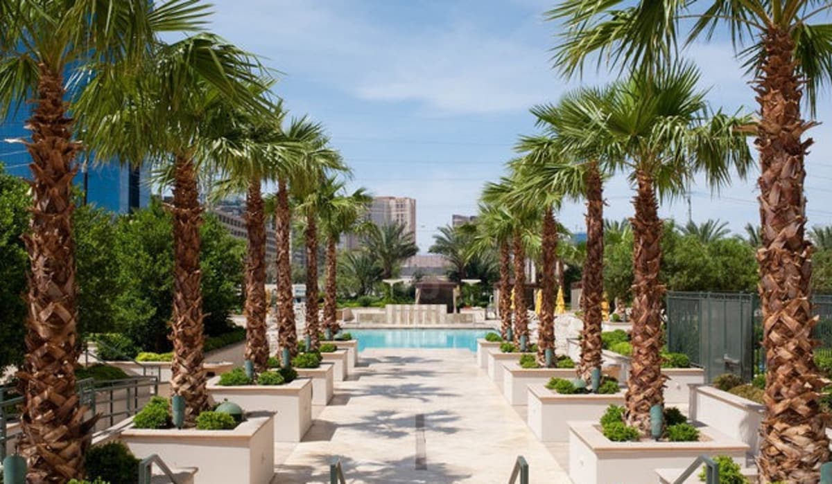A serene outdoor area features a pathway lined with tall palm trees and lush greenery. A sparkling swimming pool can be seen in the distance, with a stone deck leading toward relaxing shaded seating.