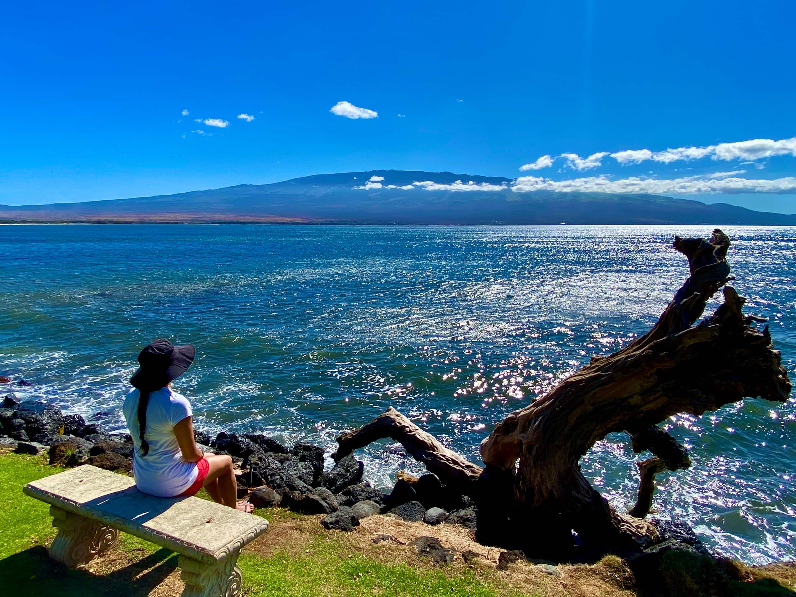 Condo in Wailuku · ★4.94 · 2 bedrooms · 3 beds · 2 baths - Image 238
