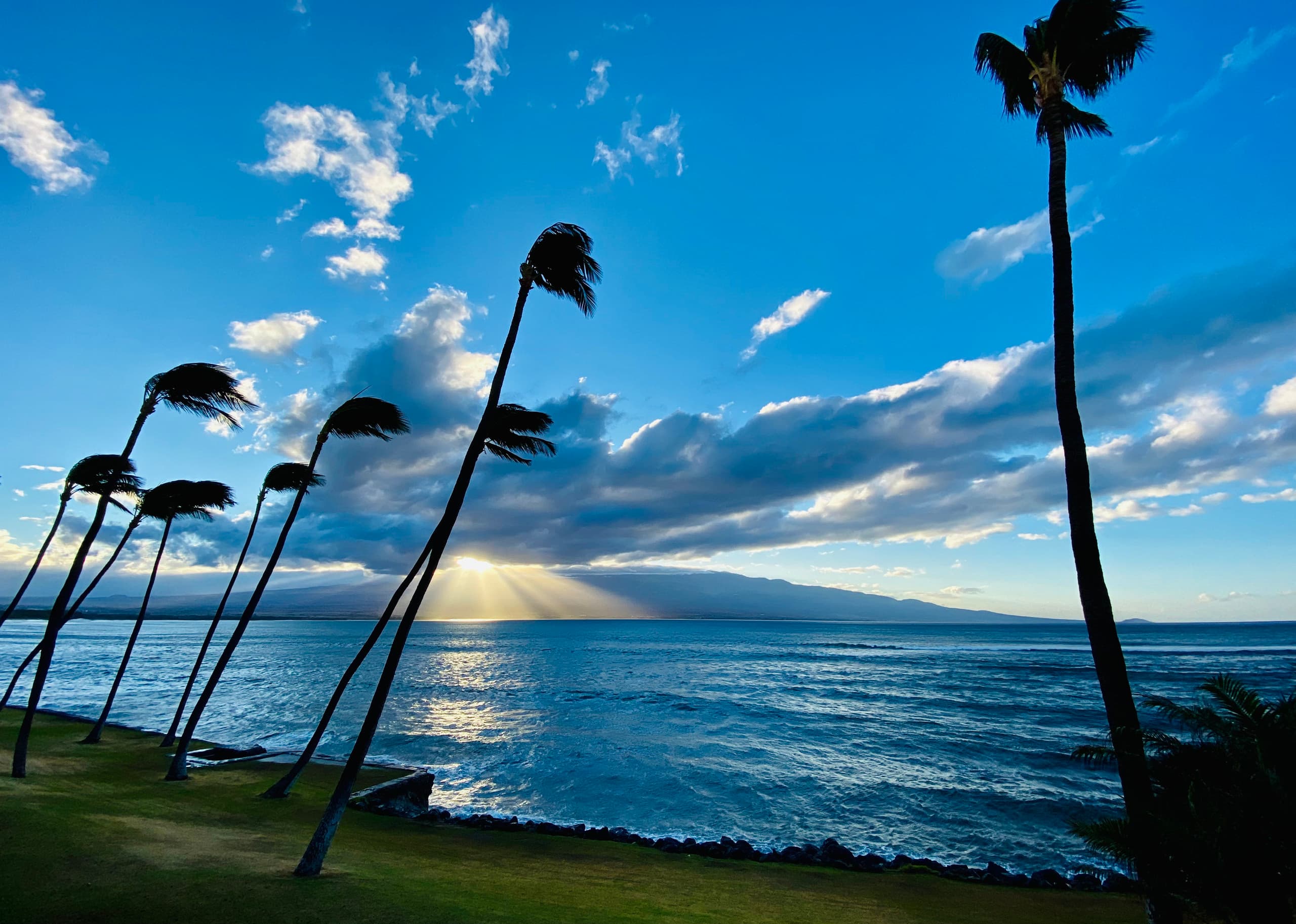 Condo in Wailuku · ★4.94 · 2 bedrooms · 3 beds · 2 baths - Image 229