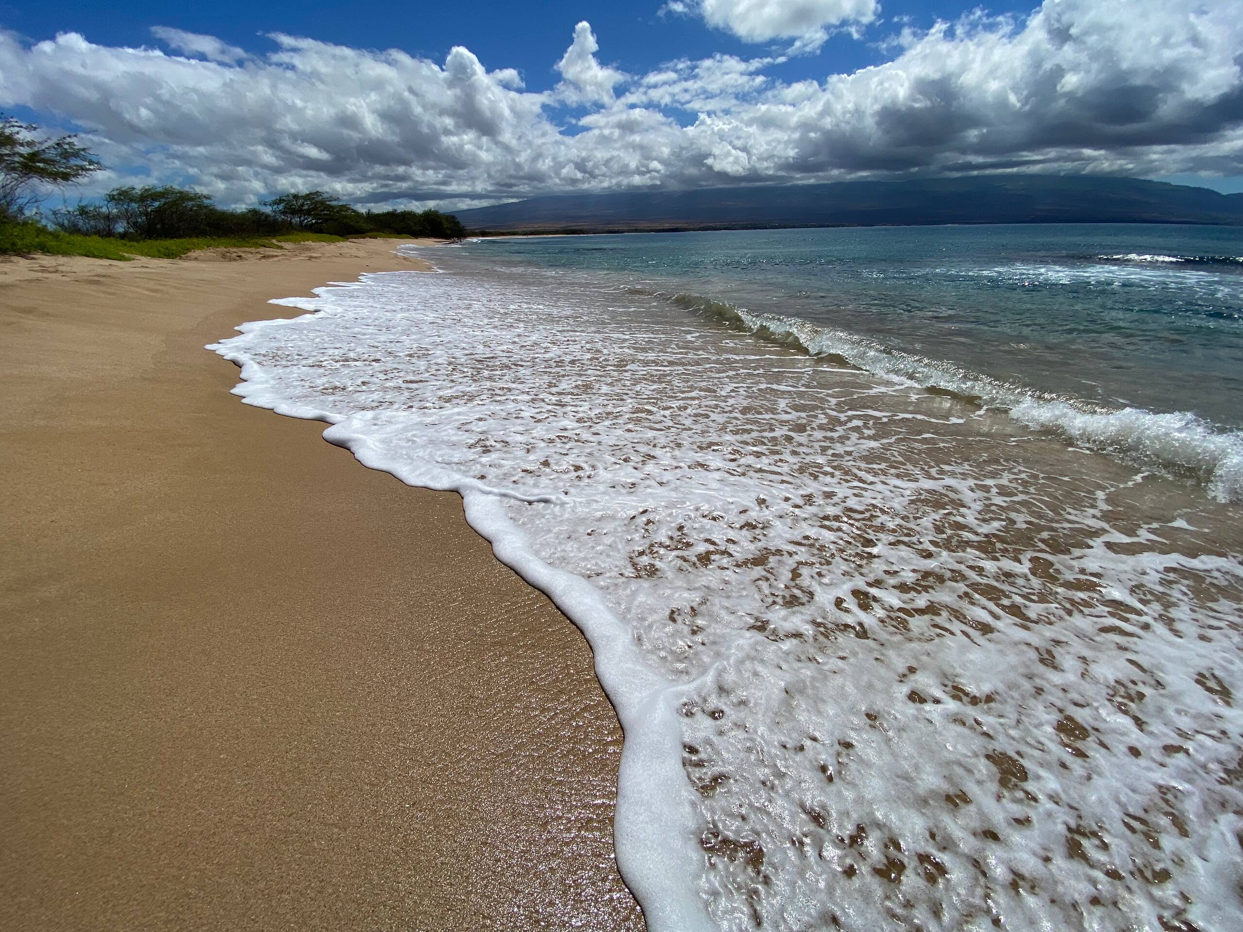 Condo in Wailuku · ★4.94 · 2 bedrooms · 3 beds · 2 baths - Image 249