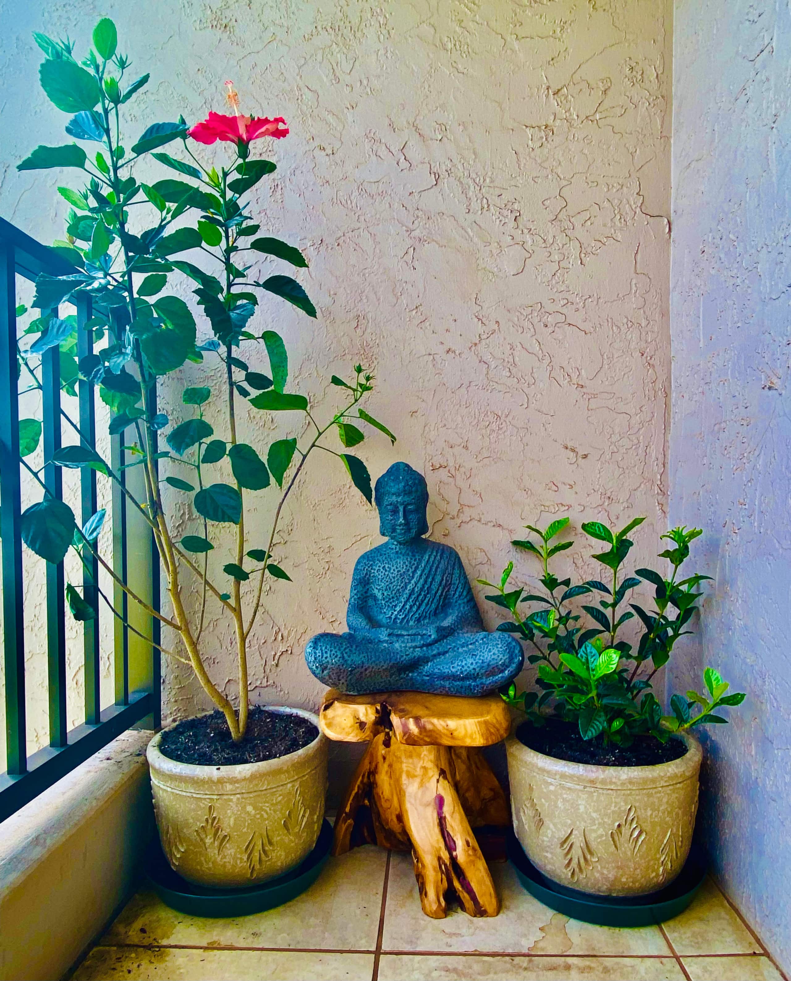 Condo in Wailuku · ★4.94 · 2 bedrooms · 3 beds · 2 baths - Image 281