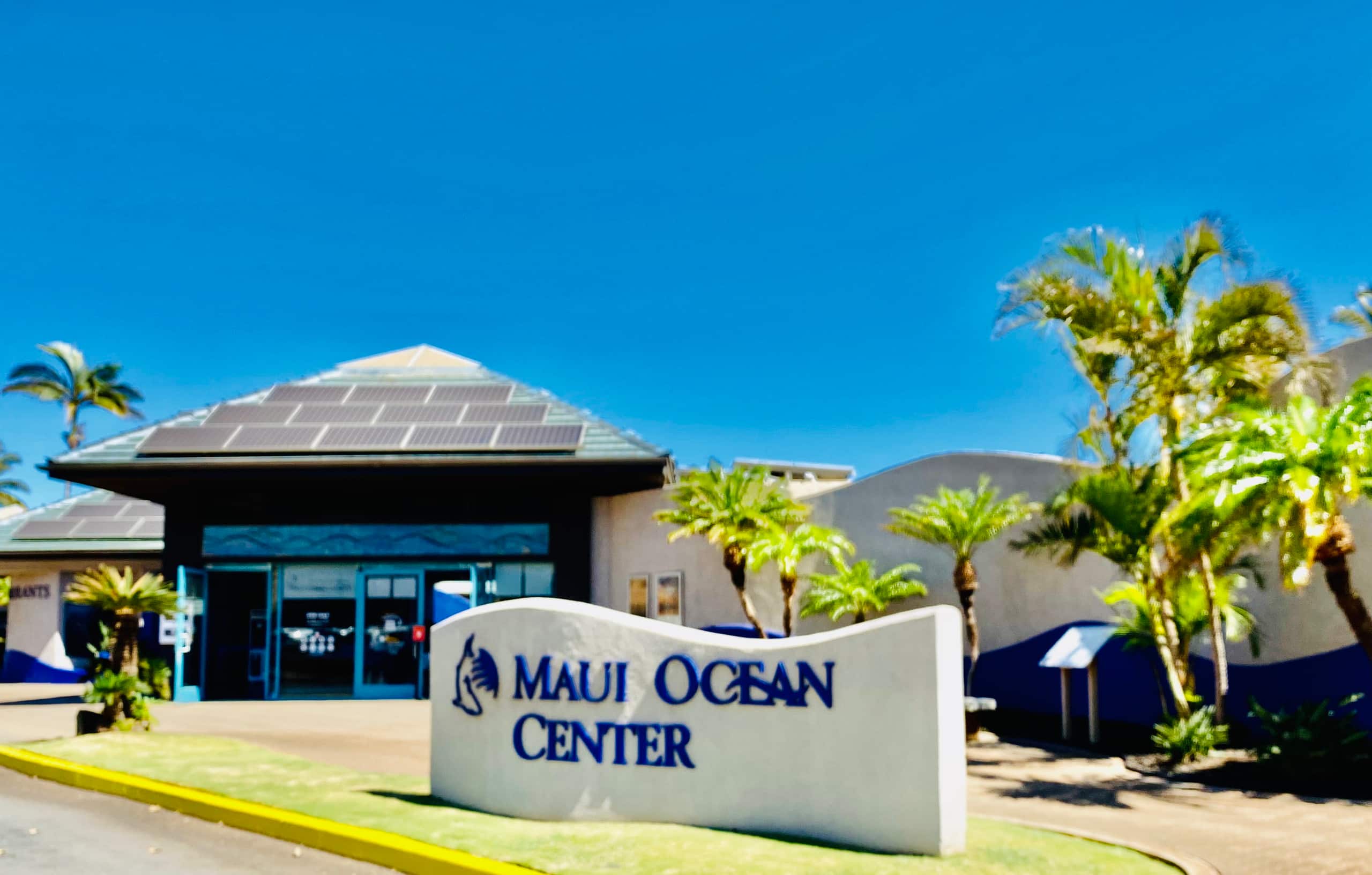 Condo in Wailuku · ★4.94 · 2 bedrooms · 3 beds · 2 baths - Image 327