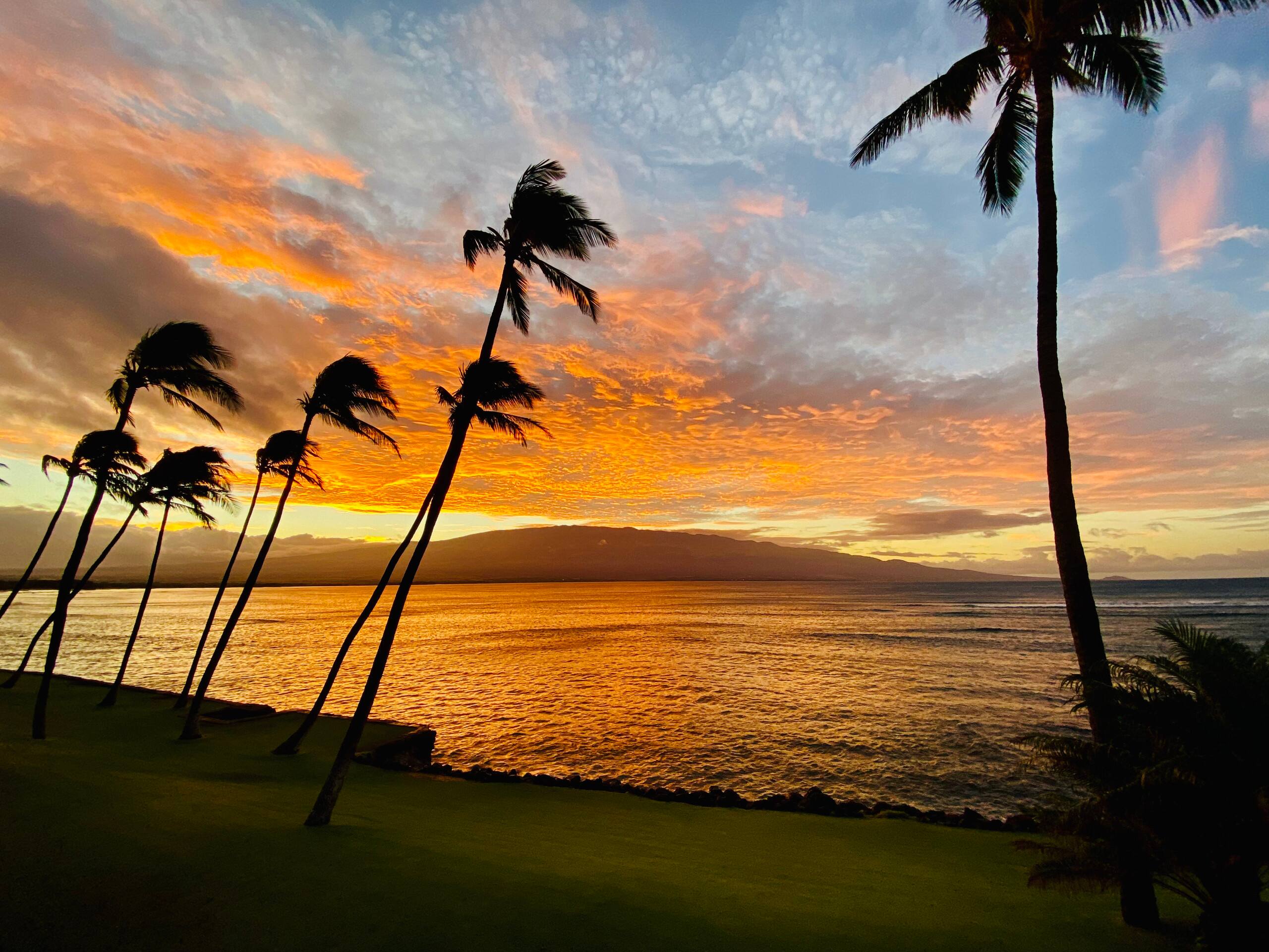 Condo in Wailuku · ★4.94 · 2 bedrooms · 3 beds · 2 baths - Image 232