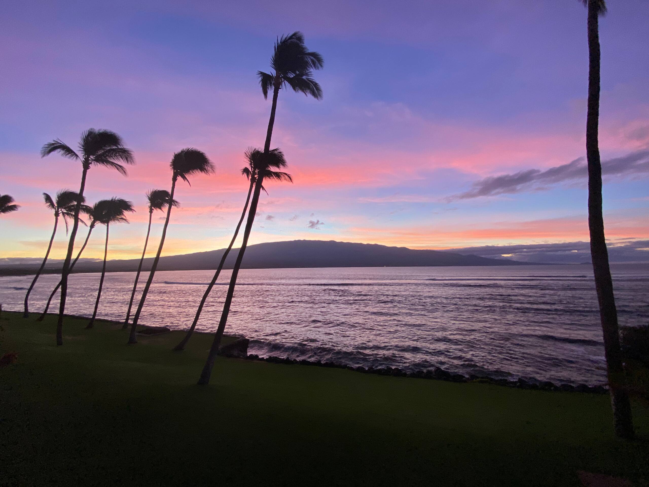 Condo in Wailuku · ★4.94 · 2 bedrooms · 3 beds · 2 baths - Image 233