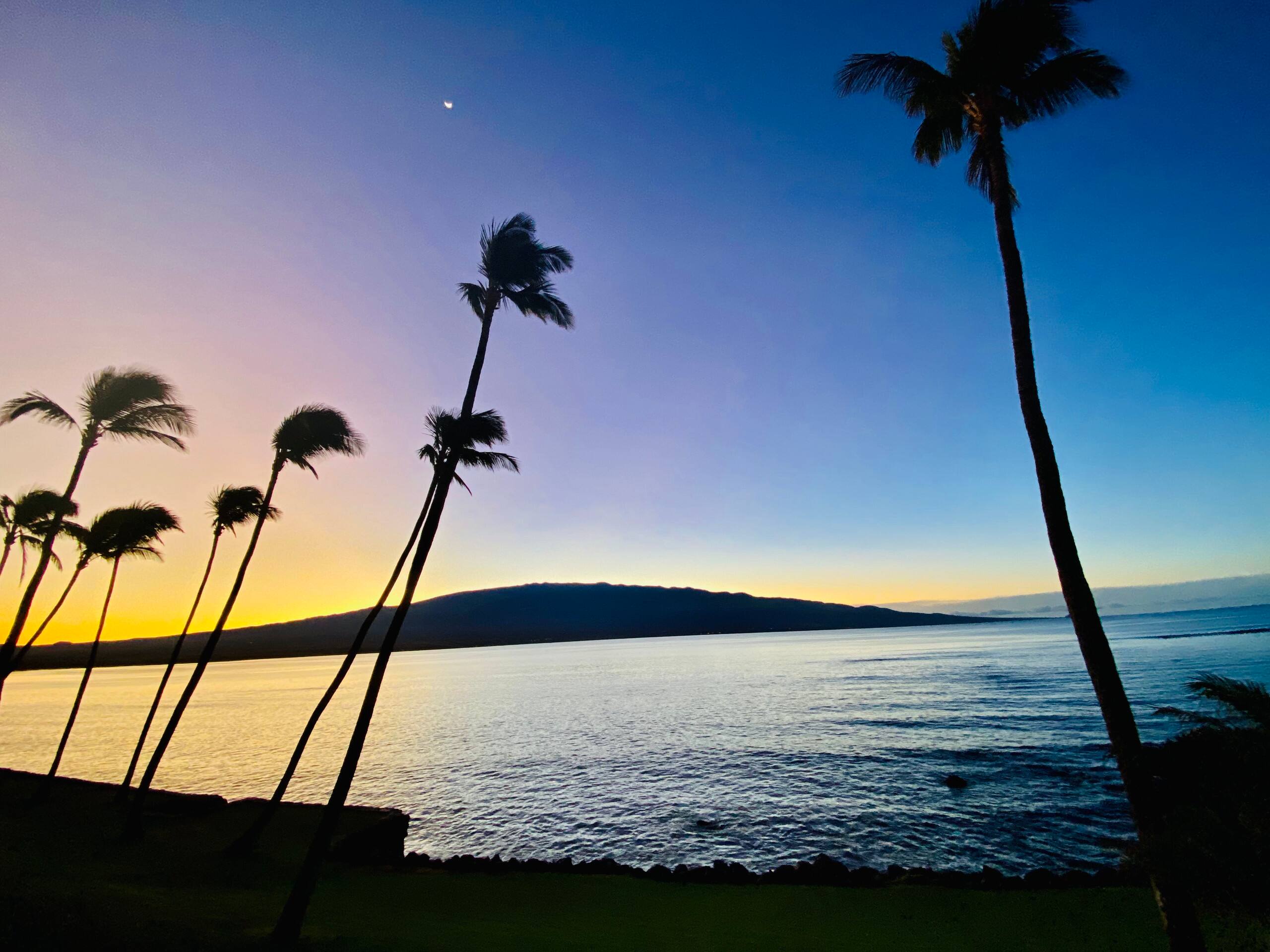 Condo in Wailuku · ★4.94 · 2 bedrooms · 3 beds · 2 baths - Image 240
