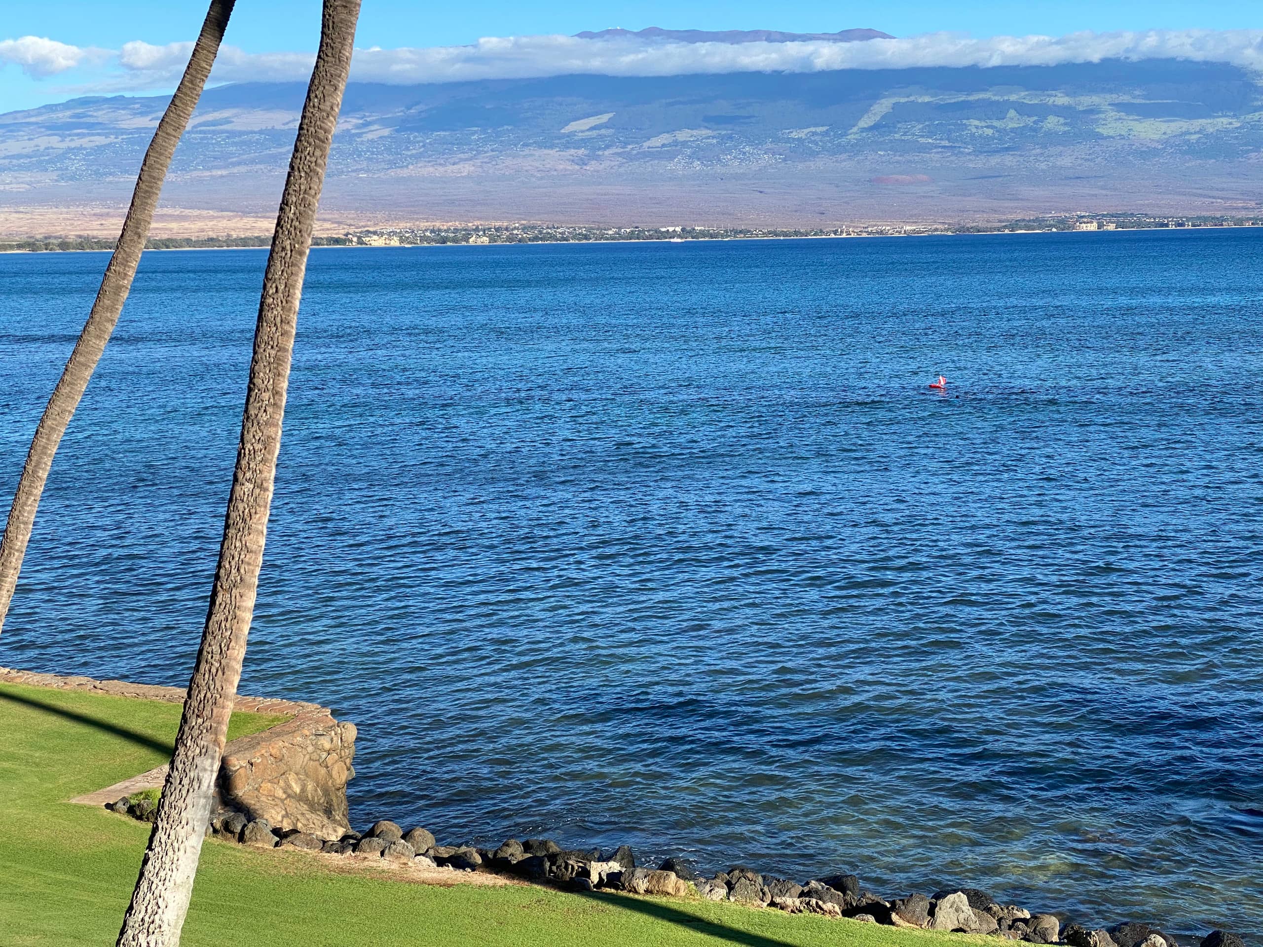 Condo in Wailuku · ★4.94 · 2 bedrooms · 3 beds · 2 baths - Image 246
