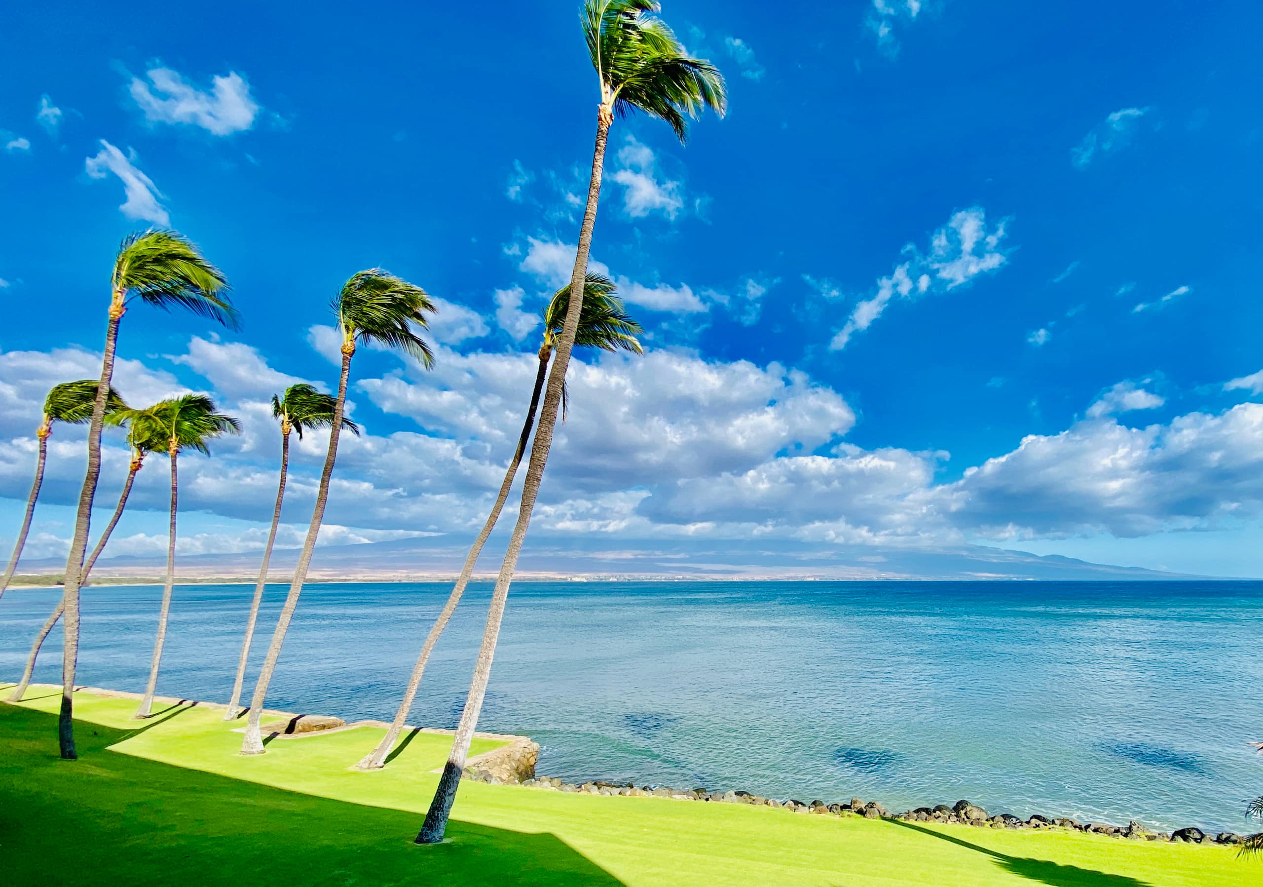 Condo in Wailuku · ★4.94 · 2 bedrooms · 3 beds · 2 baths - Image 257