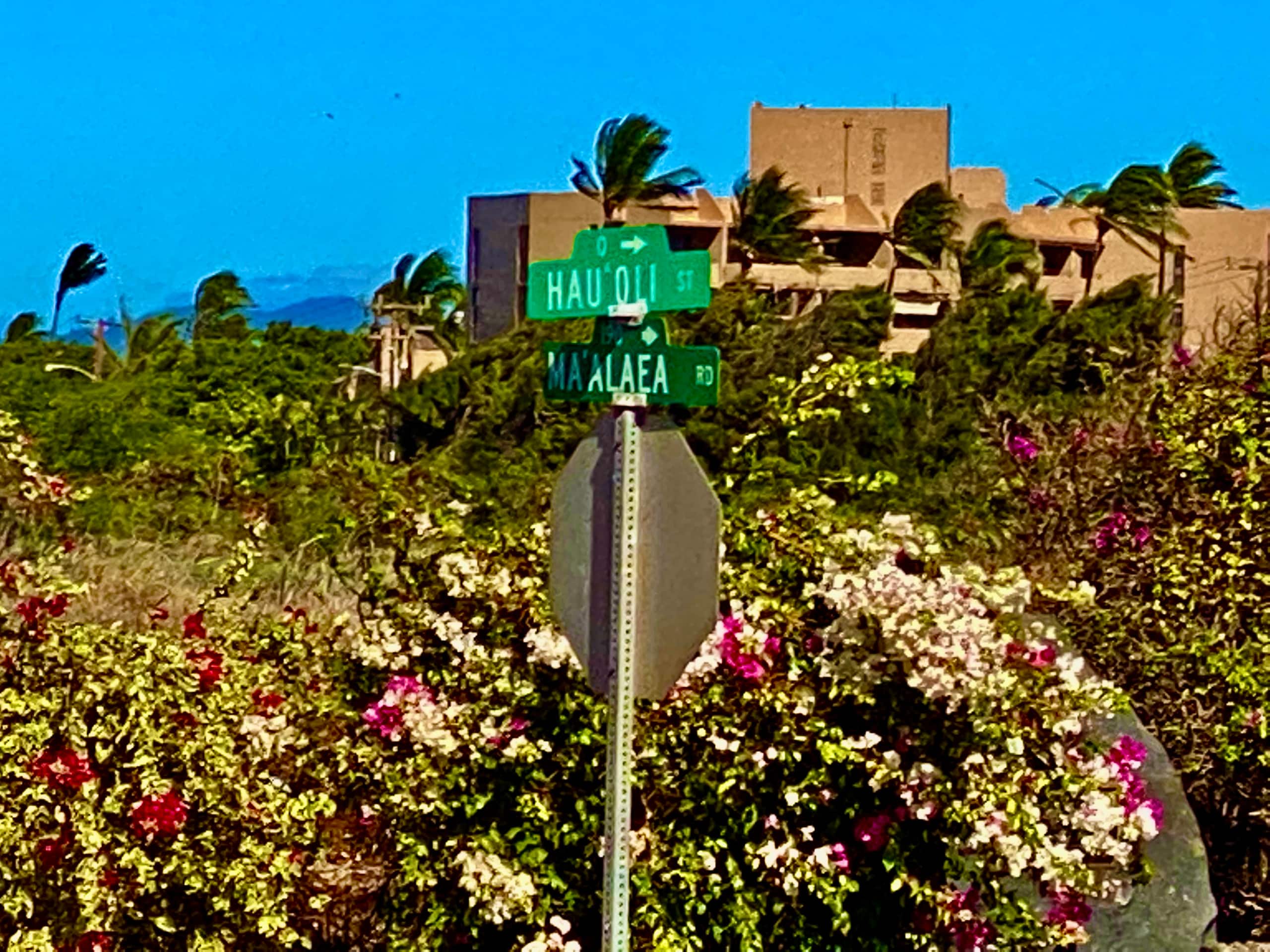 Condo in Wailuku · ★4.94 · 2 bedrooms · 3 beds · 2 baths - Image 293