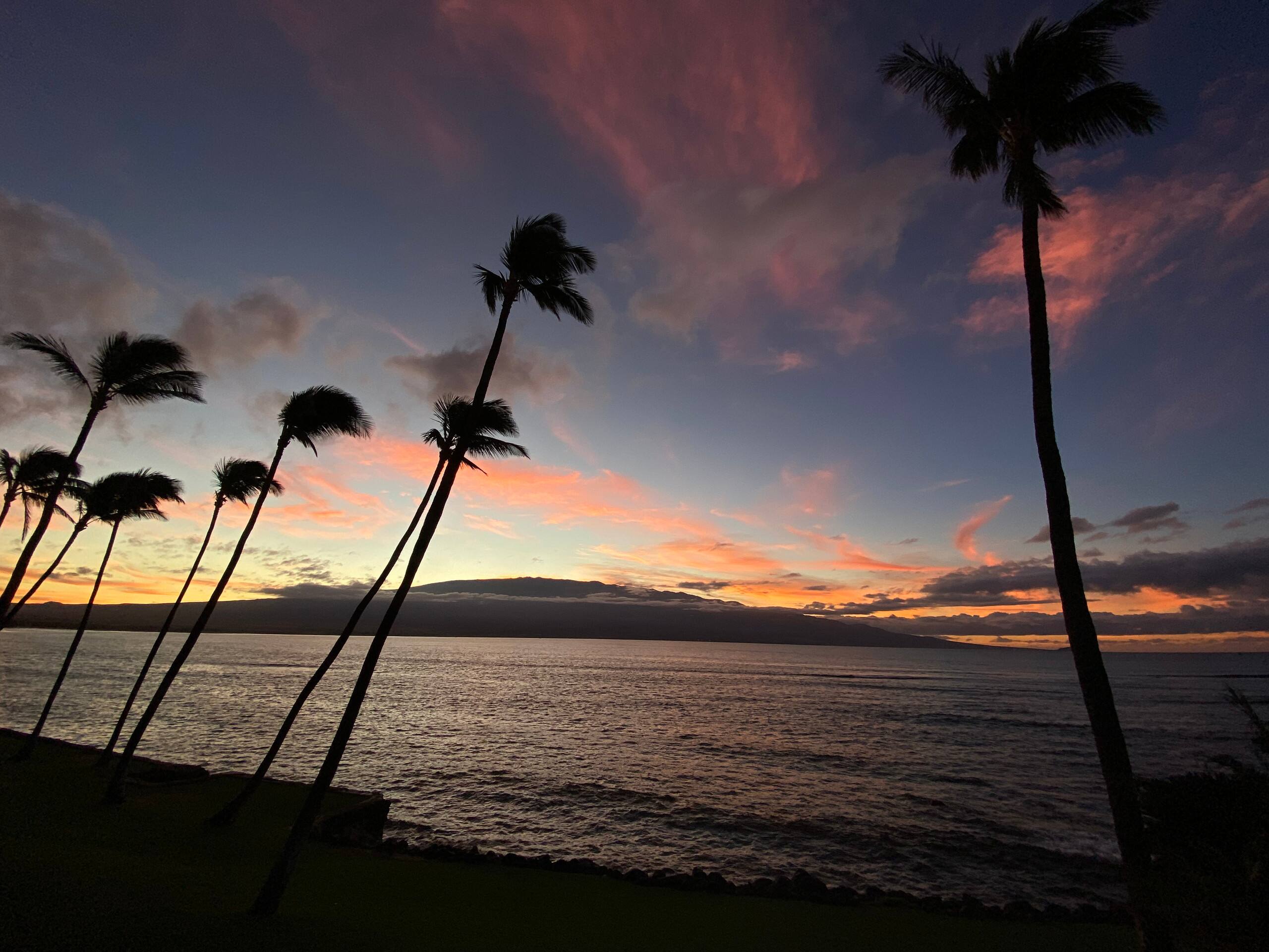 Condo in Wailuku · ★4.94 · 2 bedrooms · 3 beds · 2 baths - Image 234