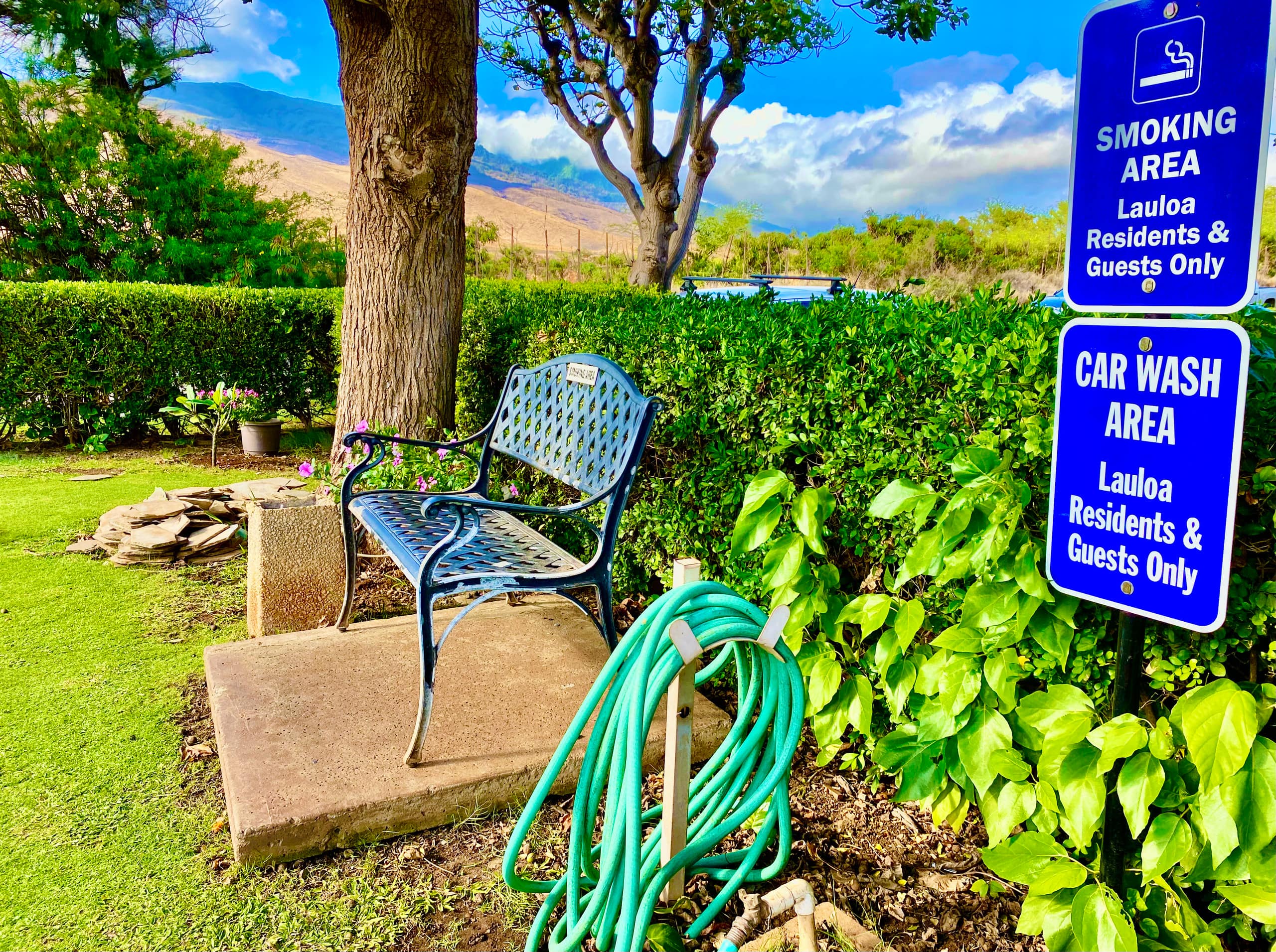 Condo in Wailuku · ★4.94 · 2 bedrooms · 3 beds · 2 baths - Image 304
