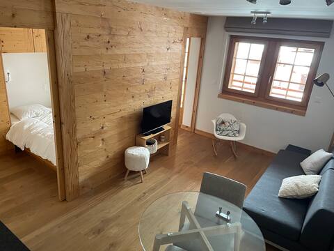 Wonderful apartment Ski in - Ski out