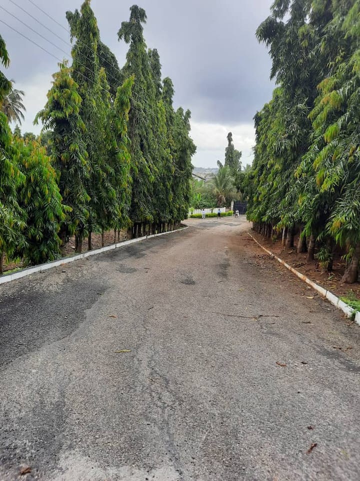 Cheerful 3 bedroom house with a garden and parking Bungalows for Rent