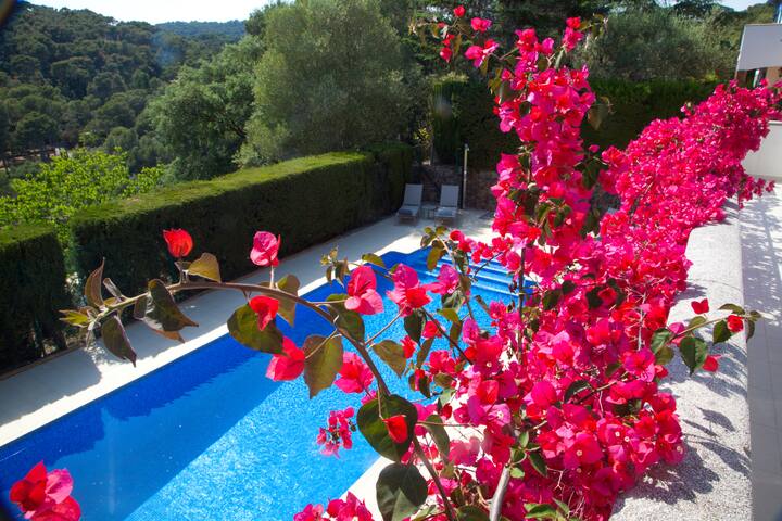 High spec family villa with private pool gallery image 4