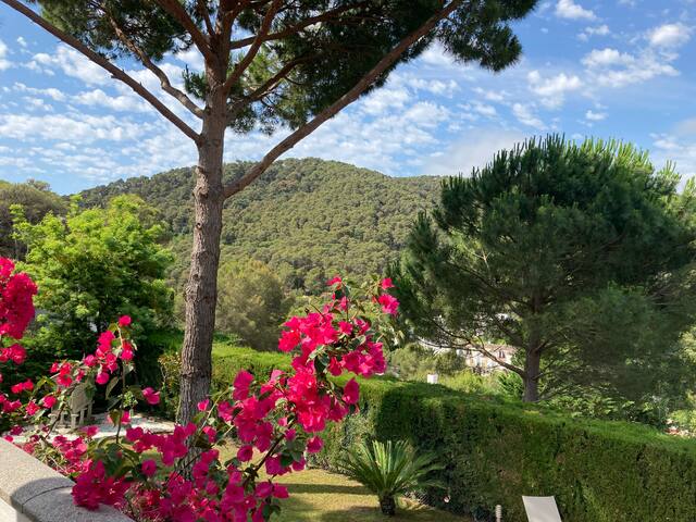 High spec family villa with private pool gallery image 3