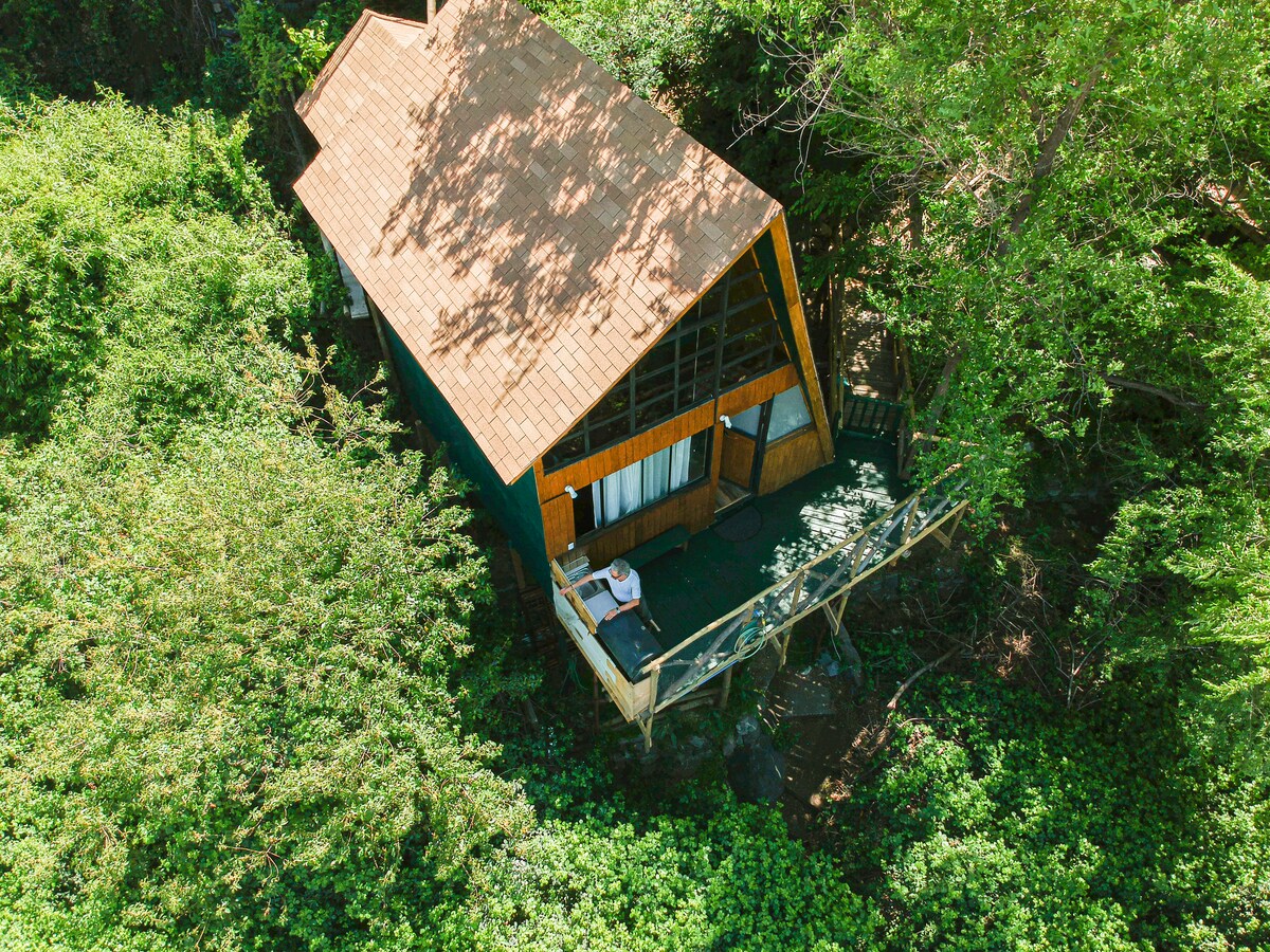 A cabin is nestled among lush greenery, featuring a sloped roof and large windows that invite natural light. A deck extends from the cabin, surrounded by dense foliage, providing an intimate outdoor retreat. The setting emphasizes a harmonious blend with nature.
