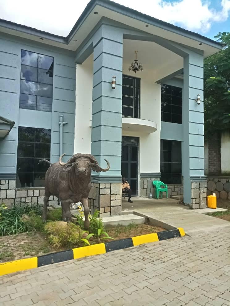 A large, modern building with a predominantly gray facade is featured. A bronze buffalo statue is positioned prominently at the entrance. A small green chair is visible nearby, and the pathway is lined with stones and greenery, enhancing the approach to the entrance.