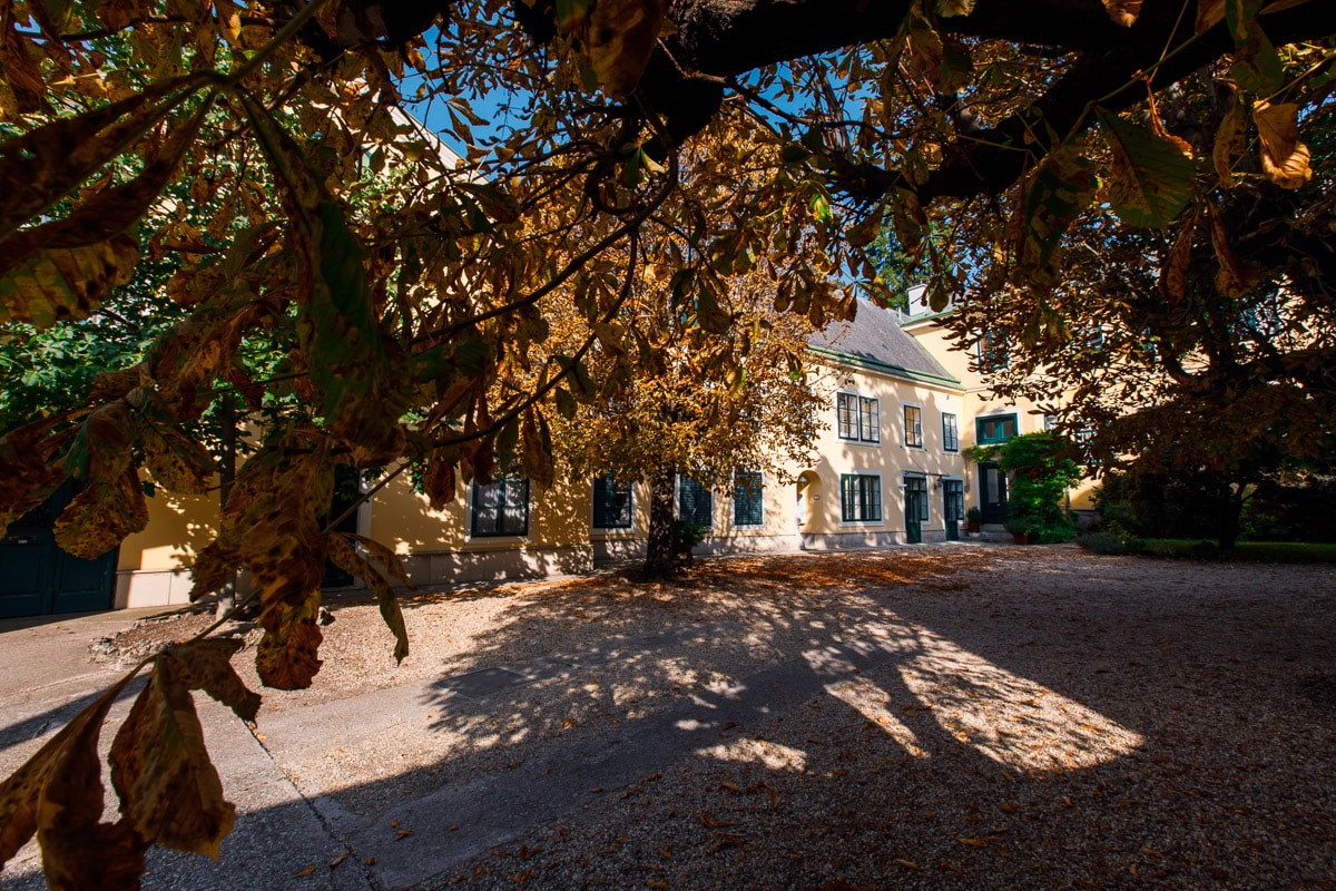 The historic family house, built in 1684, is partially obscured by golden autumn leaves from a nearby tree. The warm yellow exterior features multiple windows and a gravel driveway, illuminated by natural light, creating a welcoming view. The surrounding area is peaceful and inviting.