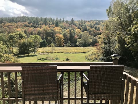 Main St home with 15 acre backyard on the river