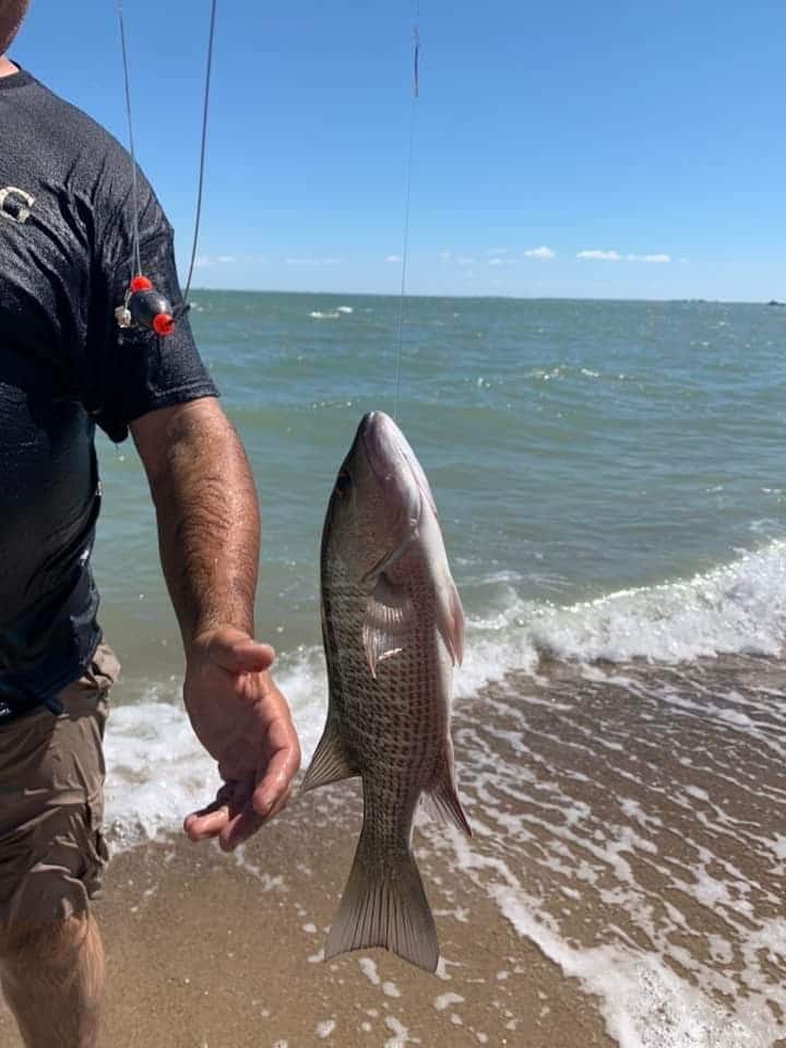 Huyu ni mmoja wa samaki tuliowakamata wakati tulipokuwa pale. Ikiwa unafurahia uvuvi!