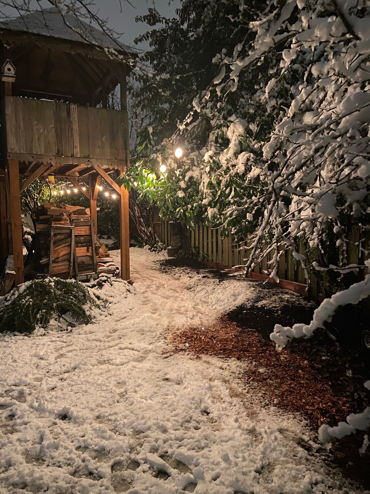 A serene outdoor pathway is lined with freshly fallen snow, illuminated by soft twinkling lights. A wooden play structure is visible at one end, surrounded by a mix of greenery. The scene captures a peaceful winter atmosphere.