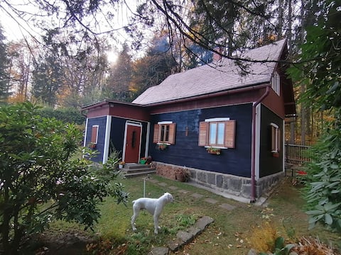 Beliebte Airbnb-Anzeige: Chata in hranic in Sebnitz