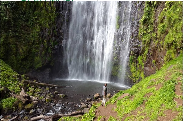 A gentle waterfall cascades down a rocky cliff, surrounded by lush greenery. The clear water flows into a small pool, with moss-covered rocks and fallen branches scattered along the bank, creating a serene natural setting.