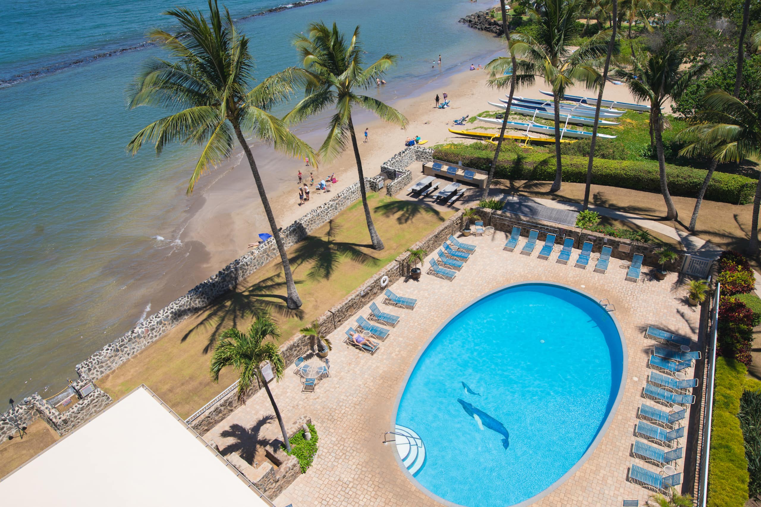 Condo in Kihei · ★4.99 · 2 bedrooms · 4 beds · 2 baths - Image 36