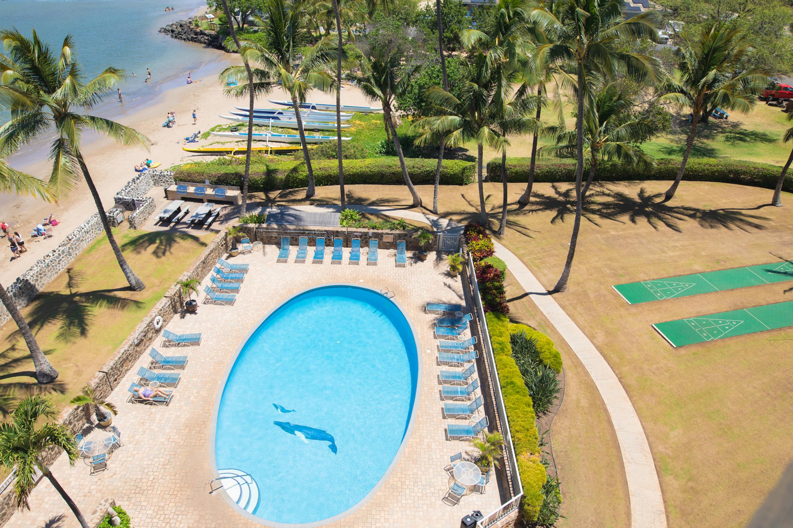 Condo in Kihei · ★4.99 · 2 bedrooms · 4 beds · 2 baths - Image 41