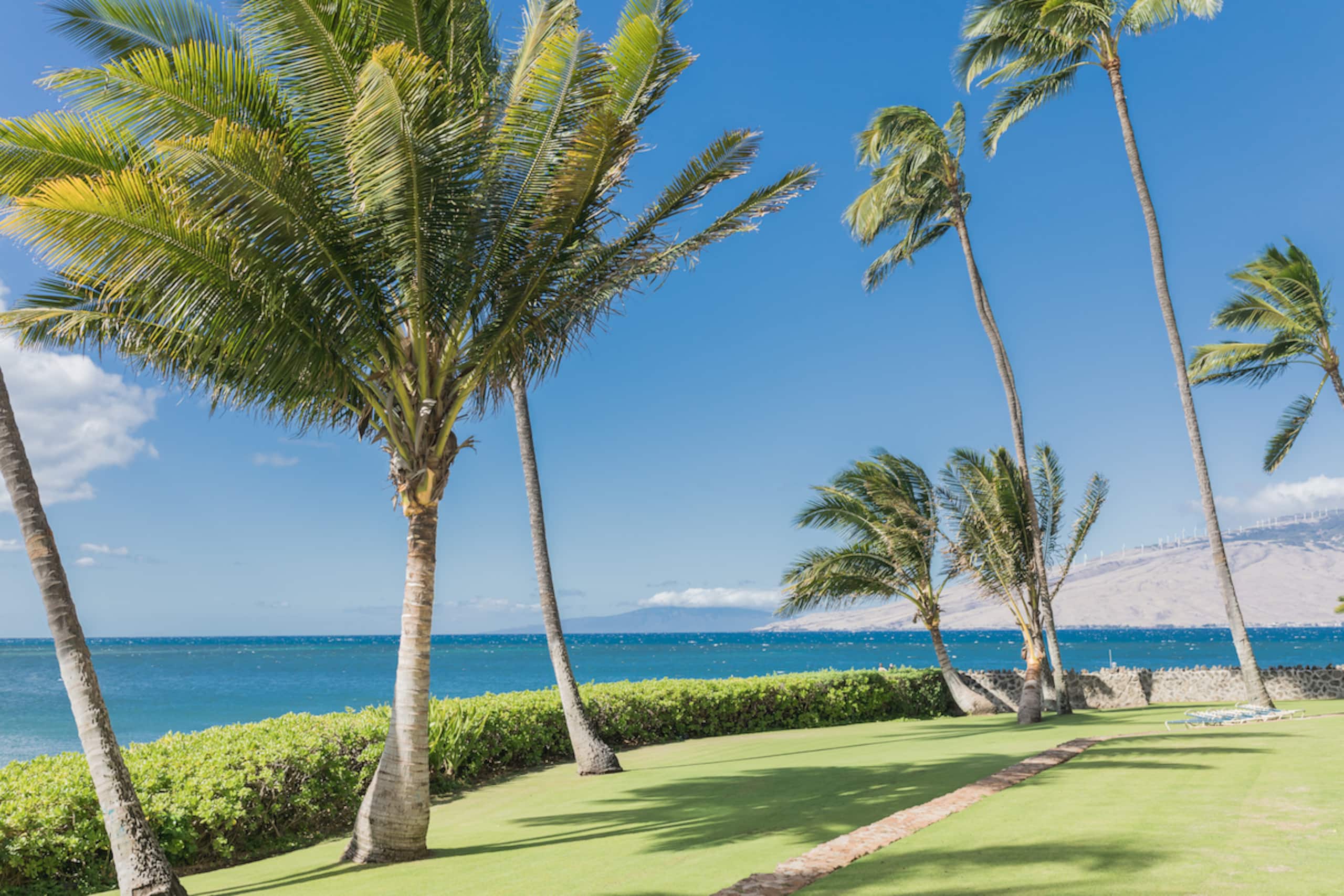 Condo in Kihei · ★4.99 · 2 bedrooms · 4 beds · 2 baths - Image 37