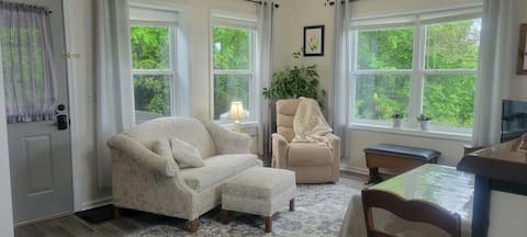 Top Airbnb: Mountain Views, King bed, dog friendly, accessible in Brevard / Transylvania