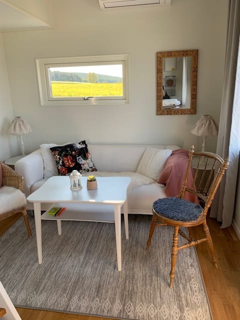 Top Airbnb: Cozy cottage with beautiful views in Östersund