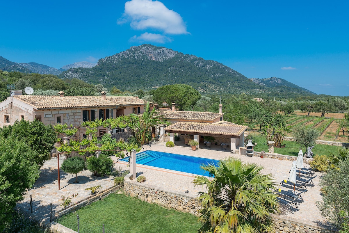 A scenic view of the agroturismo features a well-maintained pool surrounded by a stone patio and lounge chairs. Lush greenery and landscaped gardens enhance the outdoor space, while rolling hills and vineyards are visible in the background under a bright blue sky.