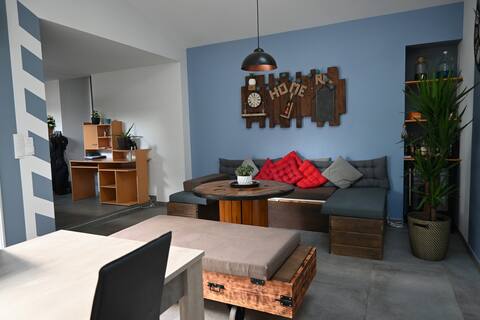 "O p'tit maisdonnais"
Discovering the vineyard