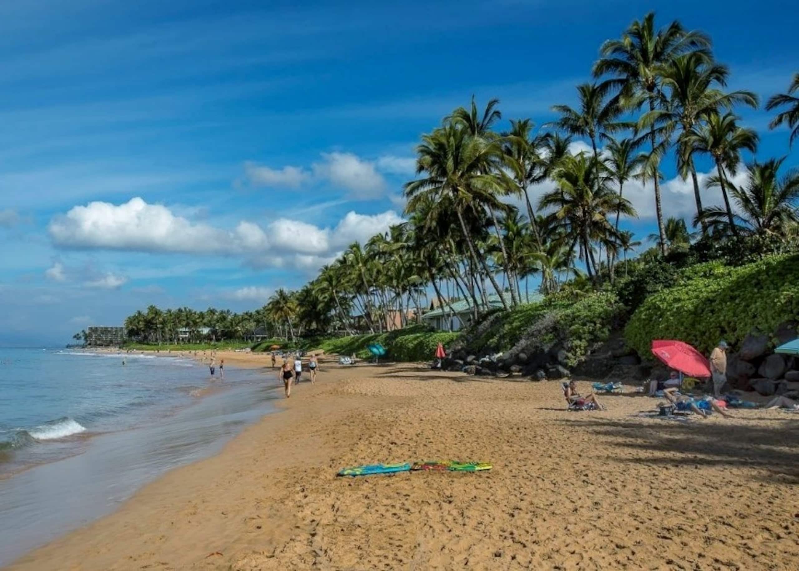 Condo in Kihei · ★4.91 · 1 bedroom · 2 beds · 1 bath - Image 18