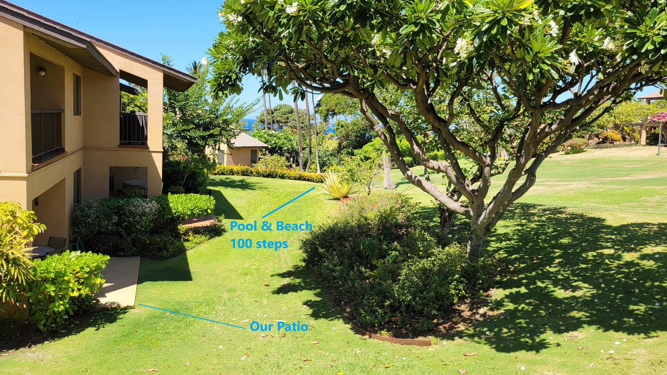 Condo in Kihei · ★4.91 · 1 bedroom · 2 beds · 1 bath - Image 13