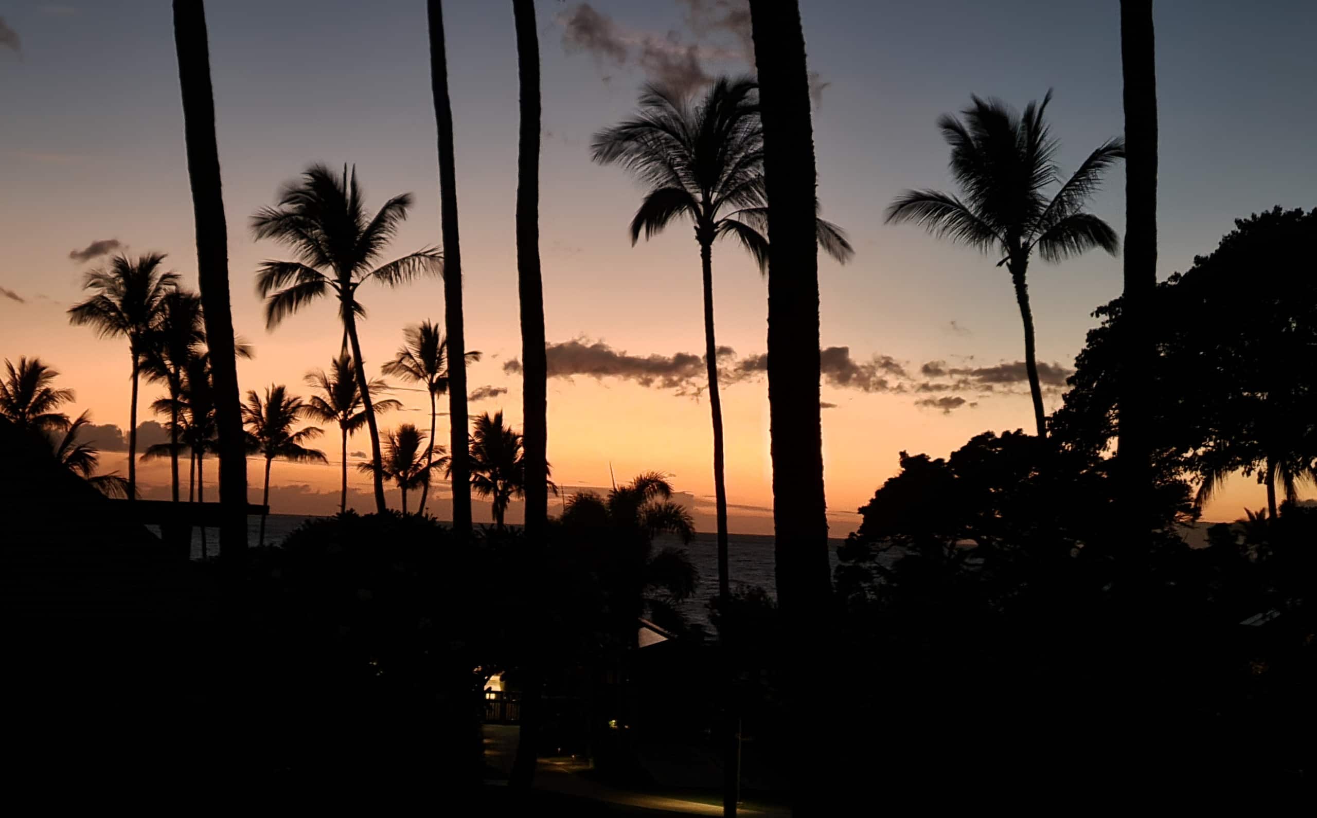 Condo in Kihei · ★4.91 · 1 bedroom · 2 beds · 1 bath - Image 16