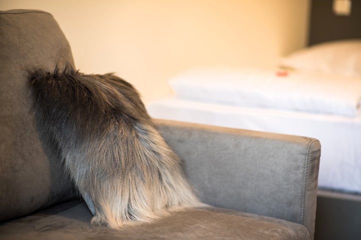 אזור חדר שינה