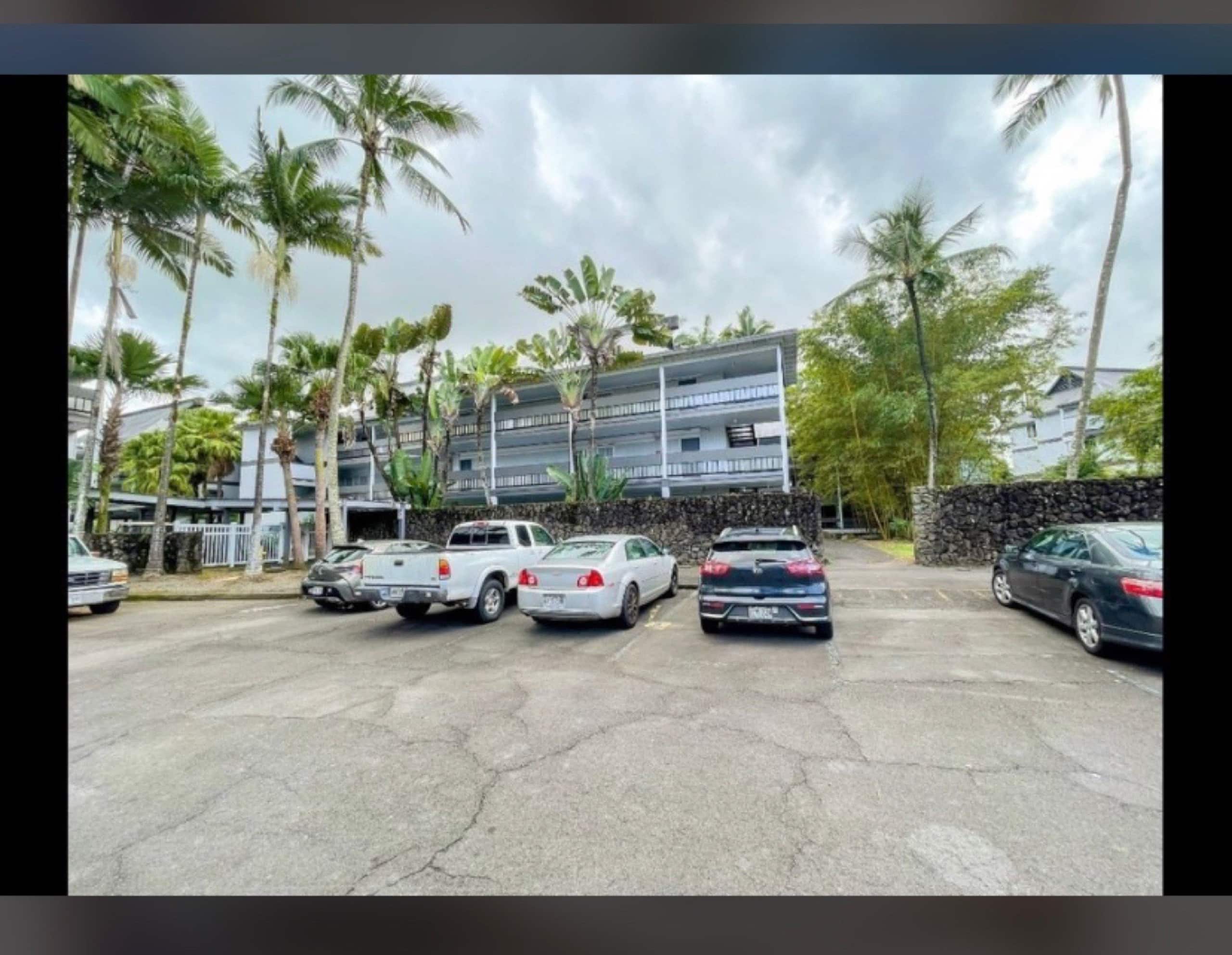 1 SunShine Rental Hilo Downtown with Swimming Pool Two Bedrooms One Living Room Self Check-in - Photo 9