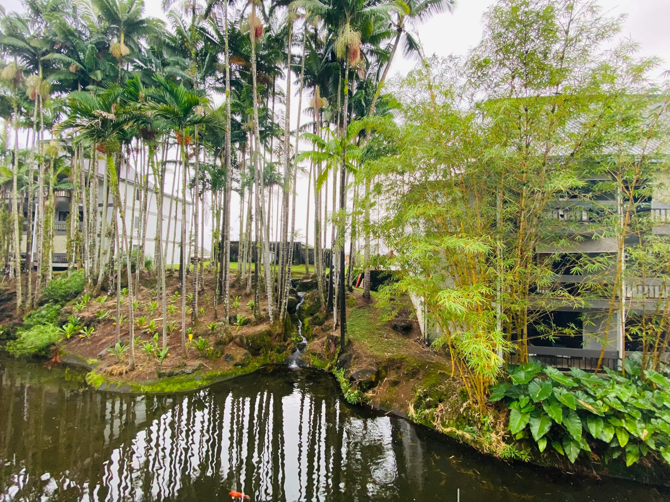 1 SunShine Rental Hilo Downtown with Swimming Pool Two Bedrooms One Living Room Self Check-in - Photo 10