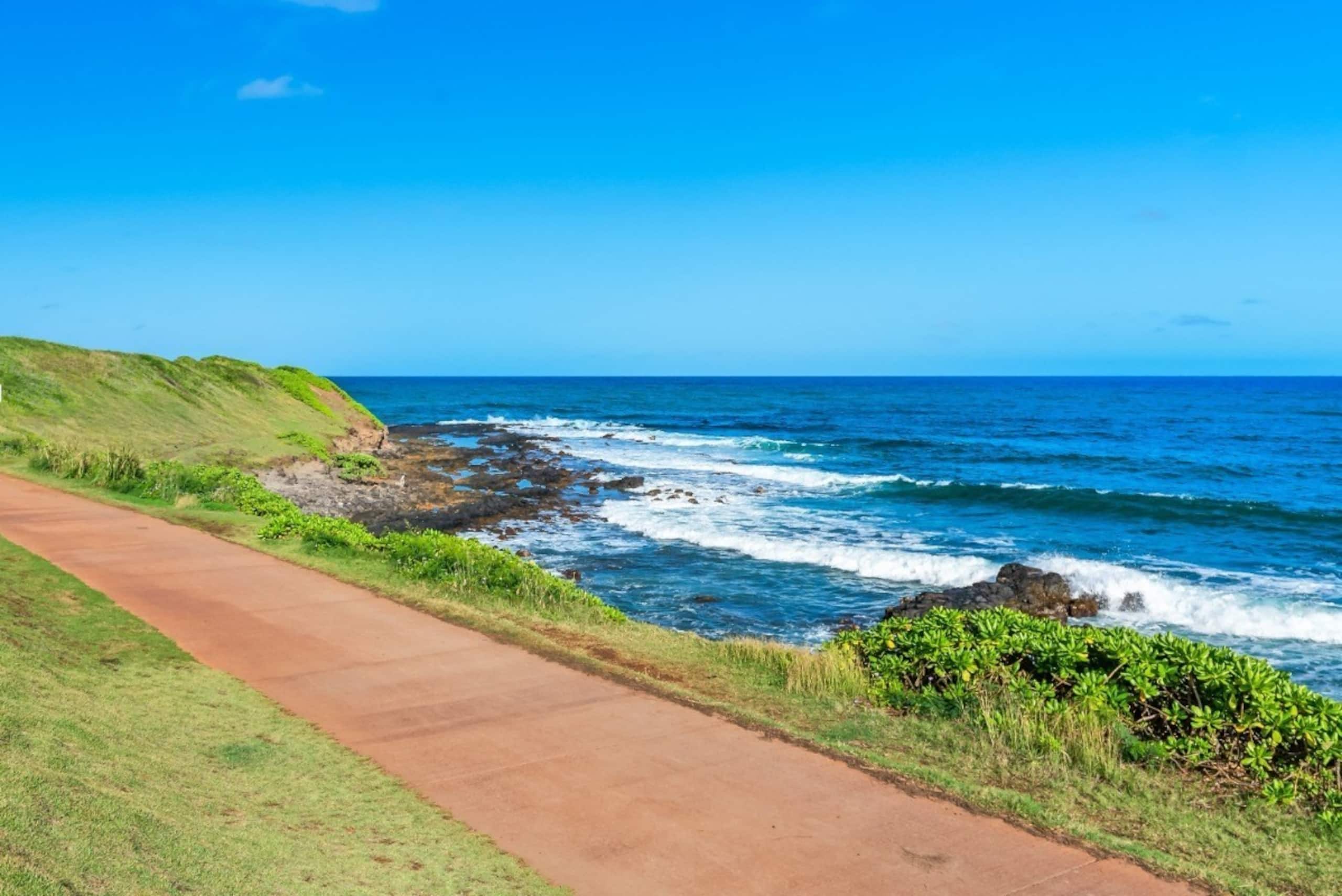 Beachfront Bliss Your Hawaiian dream awaits - Photo 17