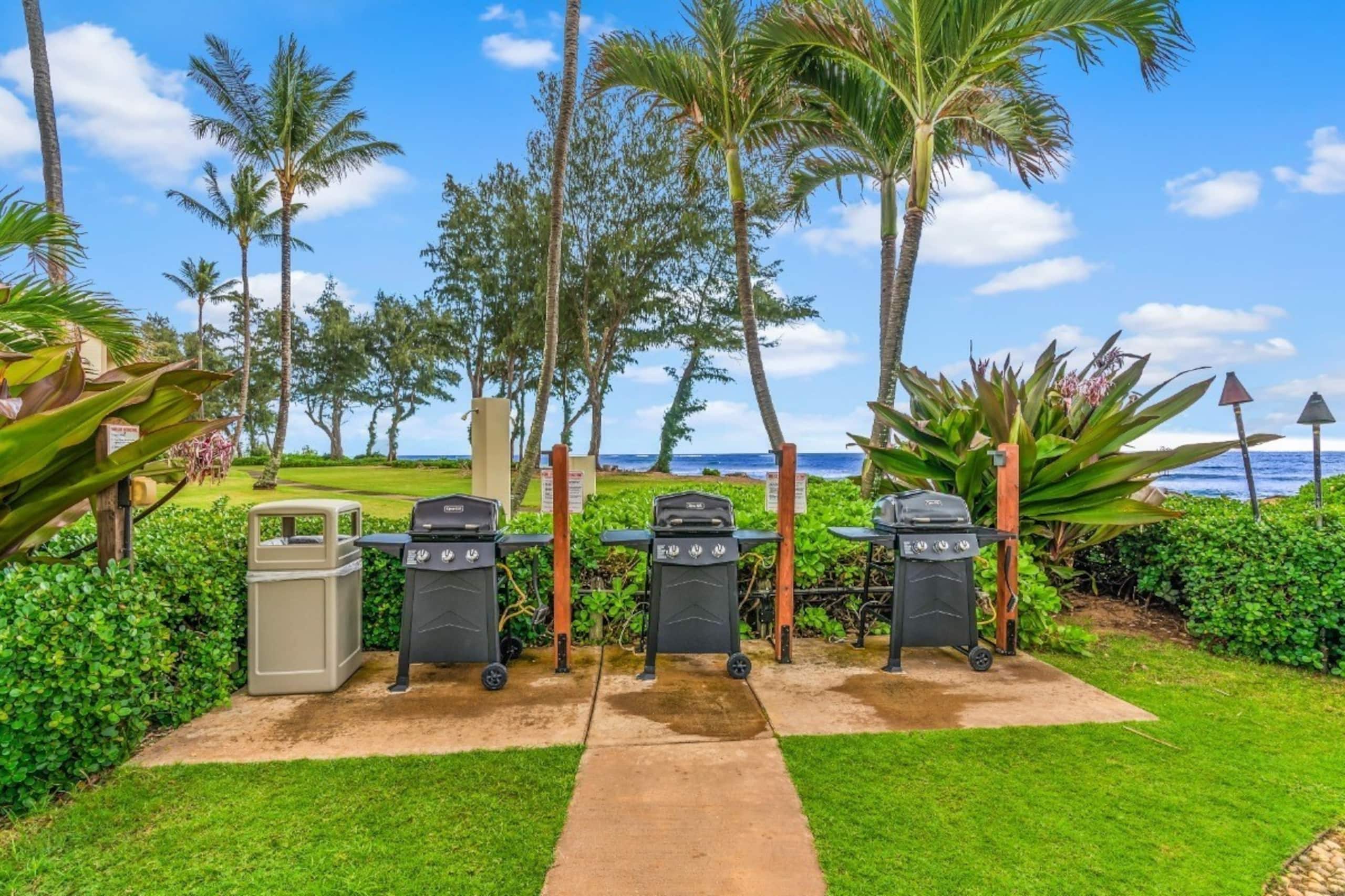 Beachfront Bliss Your Hawaiian dream awaits - Photo 14